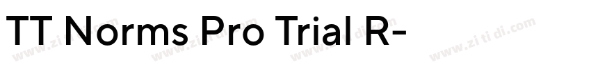 TT Norms Pro Trial R字体转换